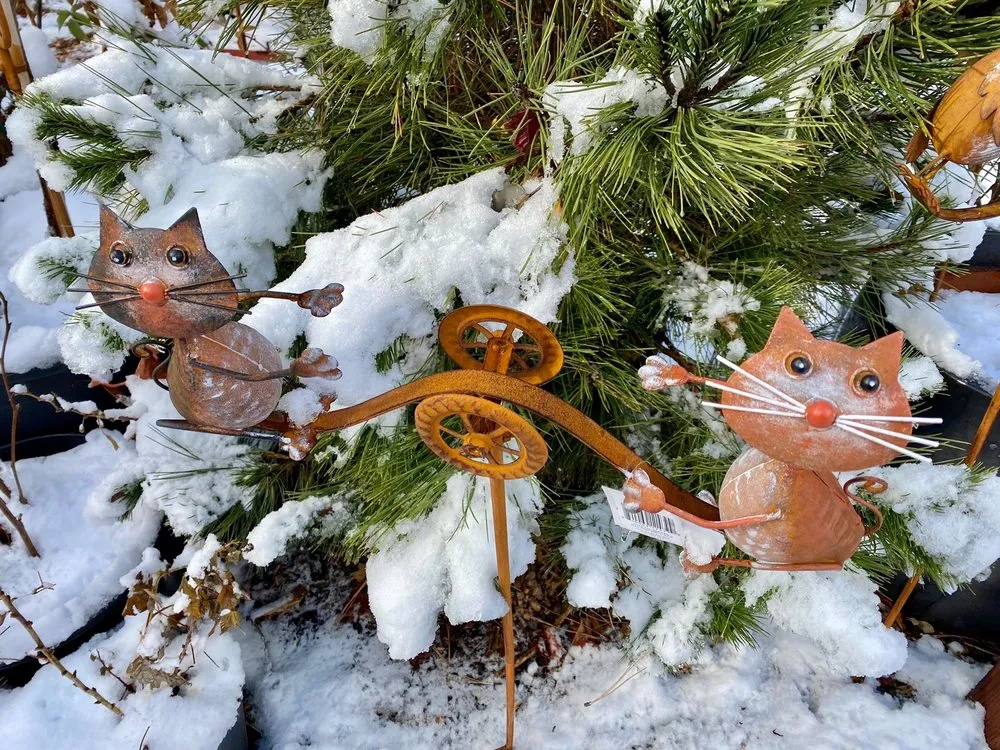 Reliable residential landscaping in Idyllwild, CA - Idyllwild Gardens