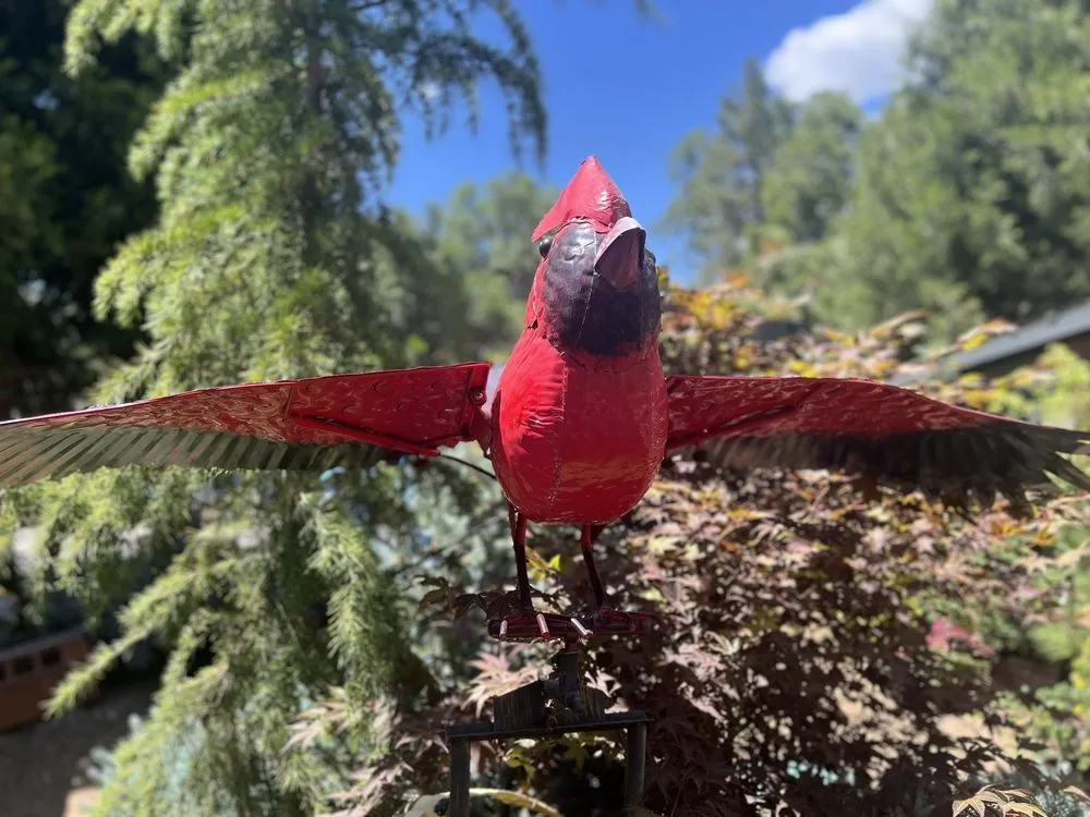 Custom landscape installation for outdoor upgrades in Idyllwild, CA by Idyllwild Gardens