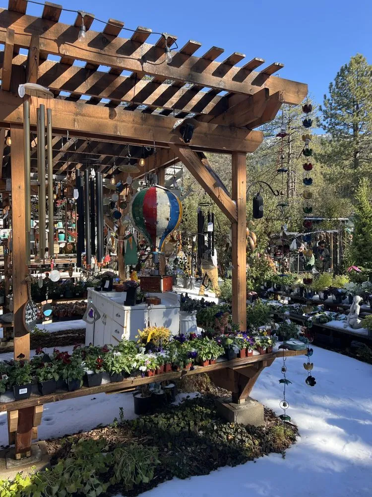 Custom lawn care service in Idyllwild, CA by Idyllwild Gardens