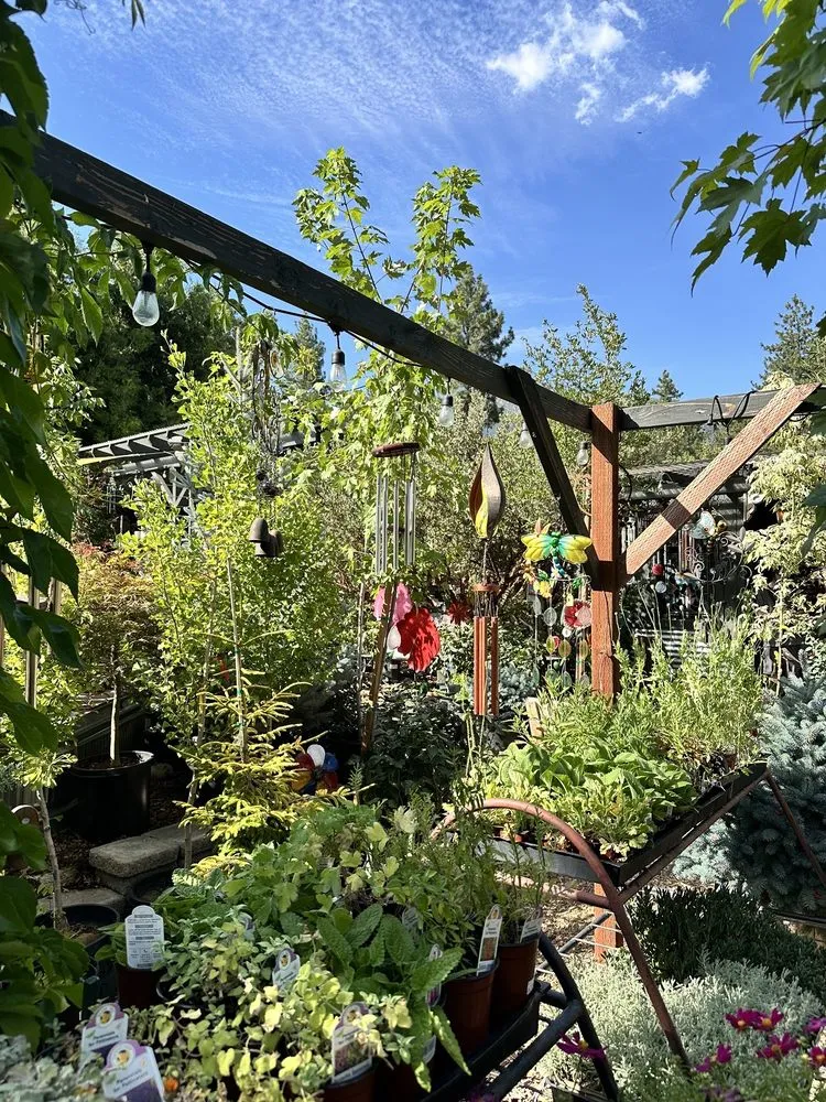 Trusted landscape installation for homes in Idyllwild, CA by Idyllwild Gardens