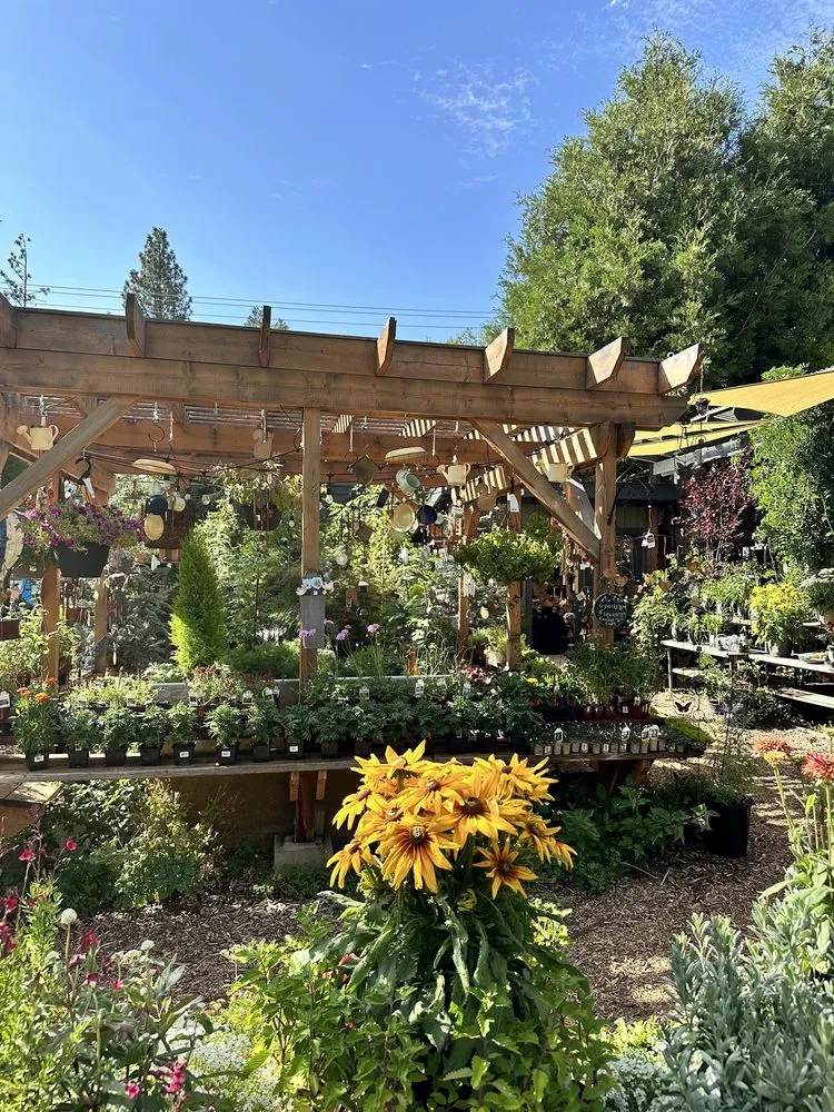 Affordable residential landscaping in Idyllwild, CA by Idyllwild Gardens