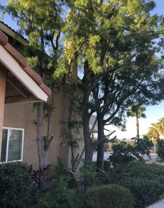 Trusted garden landscaping for residential properties across Perris, CA - IE Landscaping Services