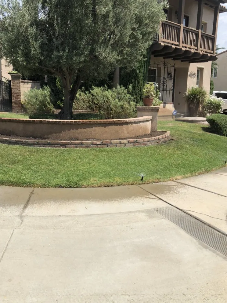 Professional yard cleanup service in Perris, CA by IE Landscaping Services