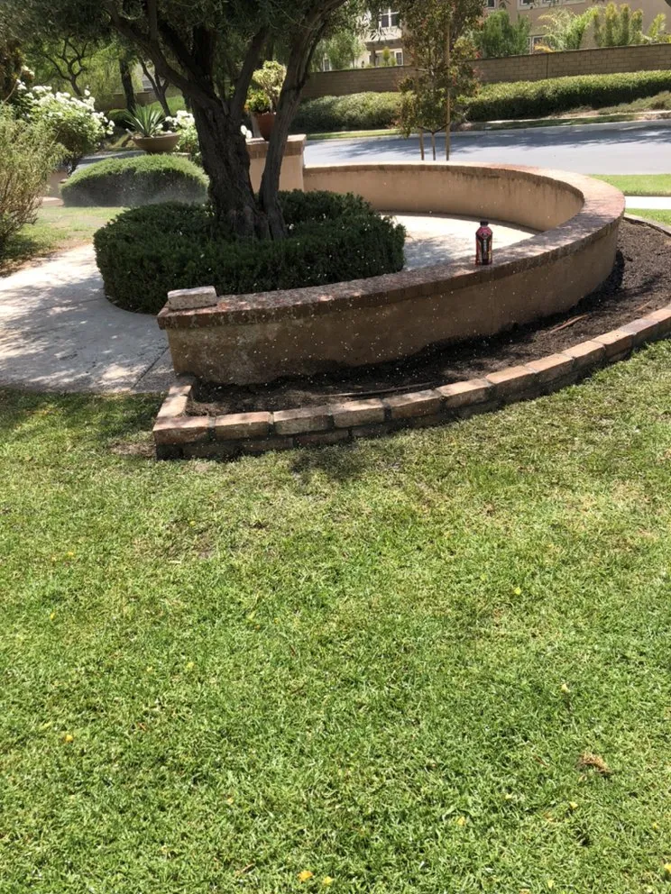 Affordable landscape design experts serving Perris, CA - IE Landscaping Services