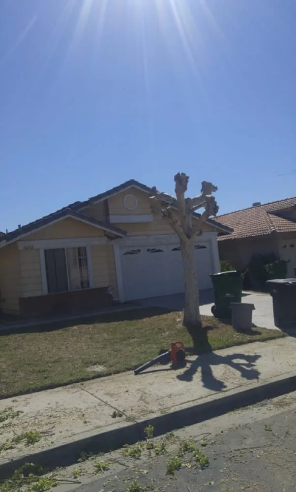 Professional garden landscaping for outdoor upgrades in Perris, CA by IE Landscaping Services