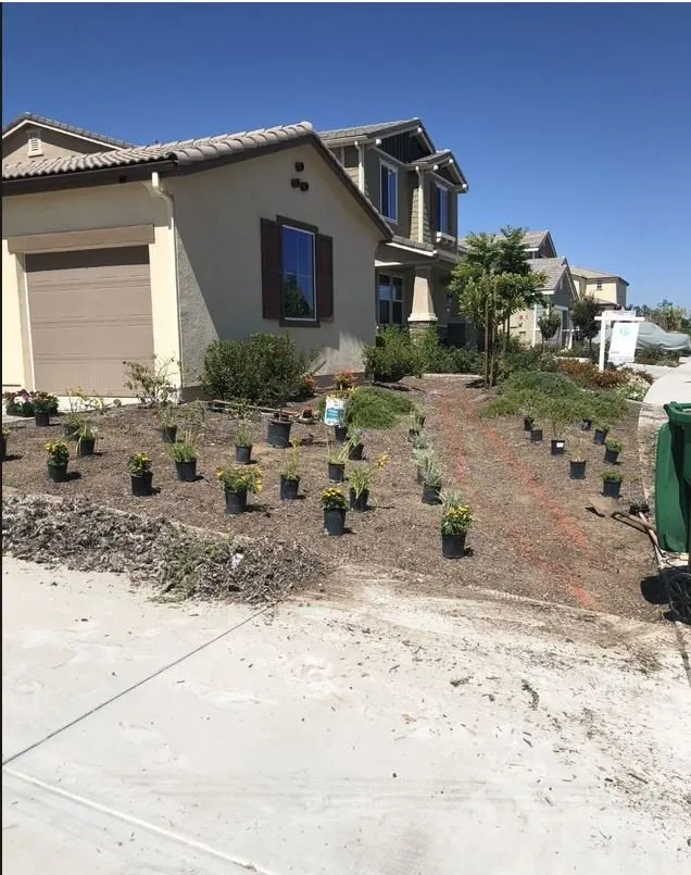 Expert lawn care service for homes in Perris, CA by IE Landscaping Services
