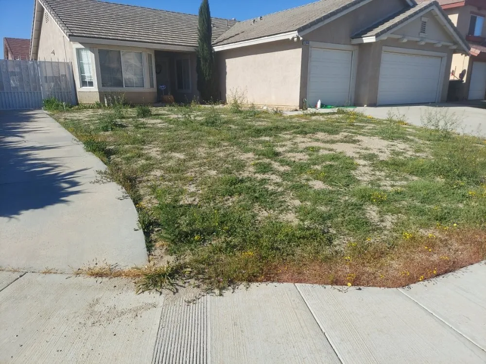 Custom landscape installation in Mojave, CA by I&E RICARDEZ LANDSCAPING & MAINTENANCE