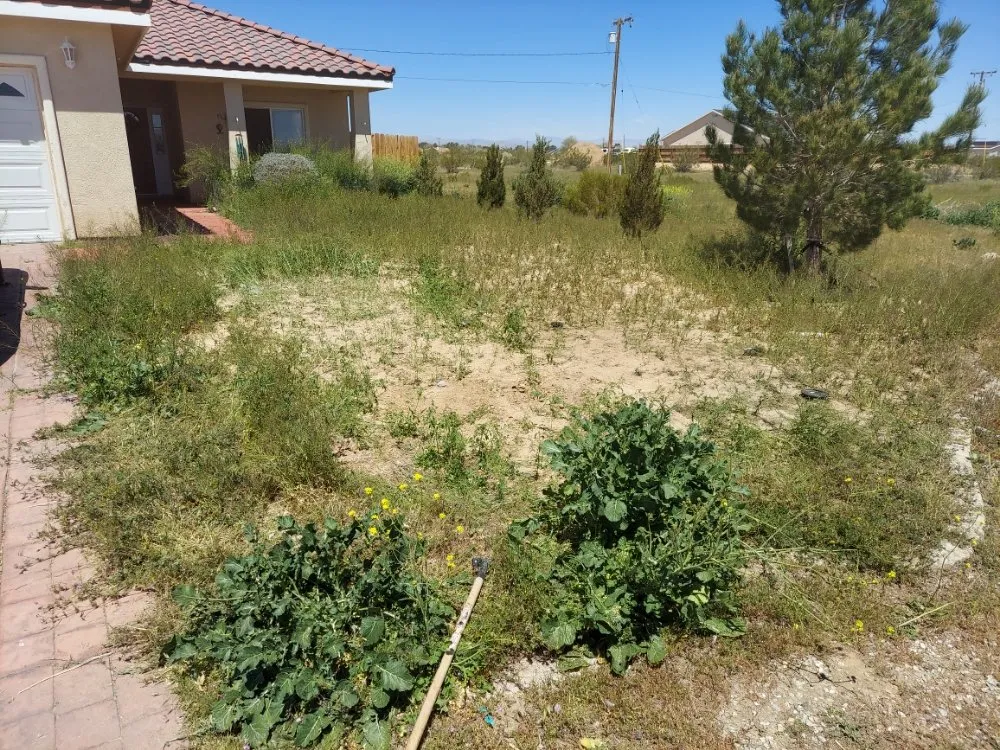 Professional lawn mowing service with custom design in Mojave, CA by I&E RICARDEZ LANDSCAPING & MAINTENANCE