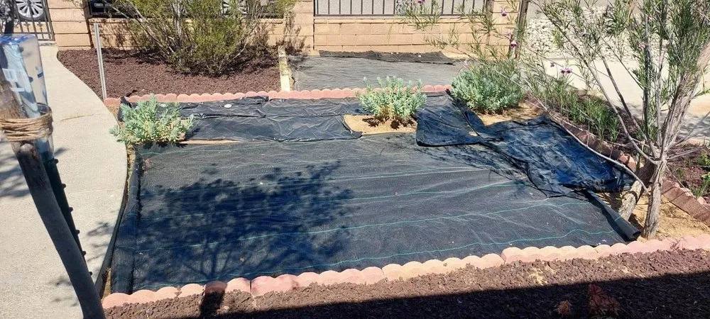 Affordable lawn mowing service experts serving Mojave, CA - I&E RICARDEZ LANDSCAPING & MAINTENANCE