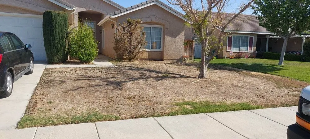 Expert lawn mowing service experts serving Mojave, CA - I&E RICARDEZ LANDSCAPING & MAINTENANCE