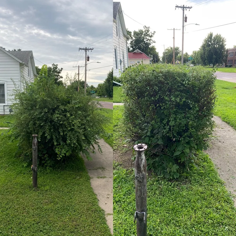 Custom yard cleanup service experts serving Marysville, KS - I&E Seasonal Services