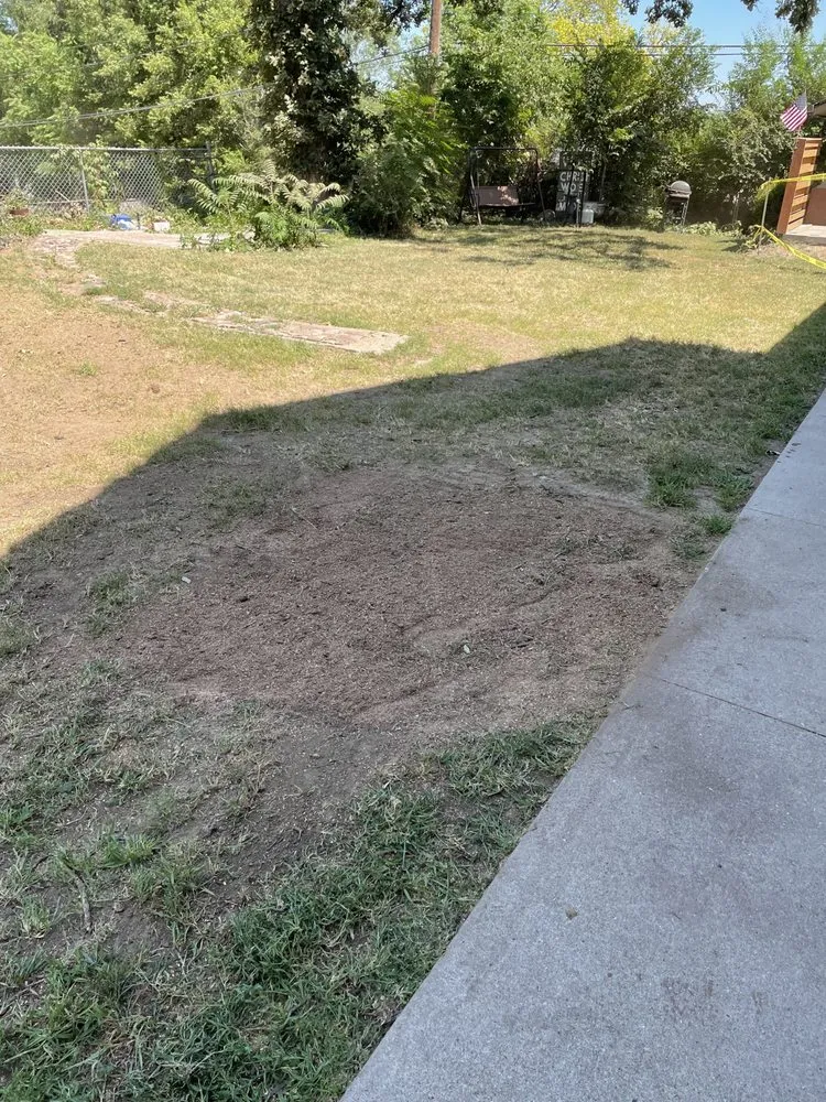 Professional yard maintenance for outdoor upgrades in Omaha, NE by I&E Stump Grinding