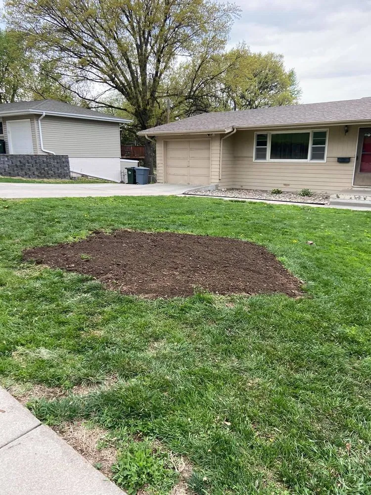 Trusted yard cleanup service for beautiful yards in Omaha, NE by I&E Stump Grinding