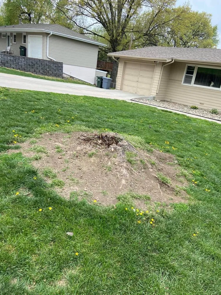 Local lawn mowing service experts serving Omaha, NE - I&E Stump Grinding