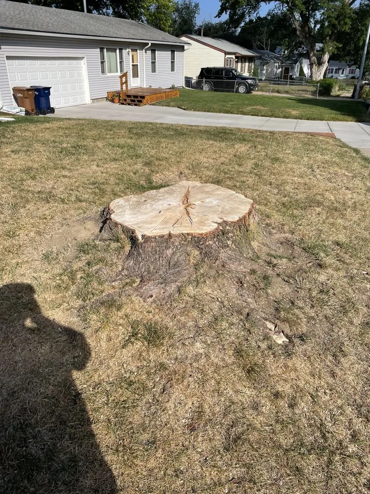Trusted landscape design in Omaha, NE - I&E Stump Grinding