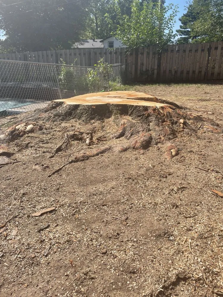 Trusted outdoor landscaping experts serving Omaha, NE - I&E Stump Grinding