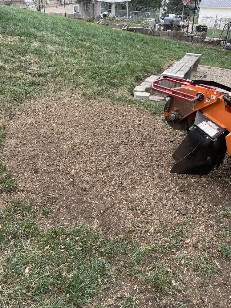 Top-rated landscape design for outdoor upgrades in Omaha, NE by I&E Stump Grinding