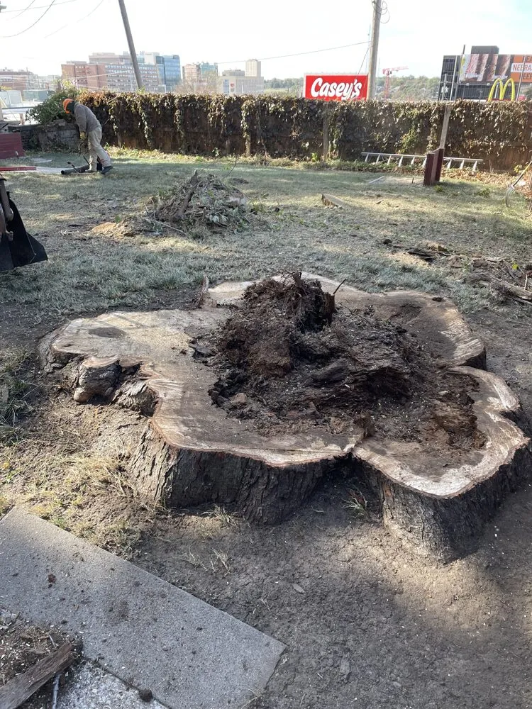 Top-rated lawn mowing service for outdoor upgrades in Omaha, NE by I&E Stump Grinding