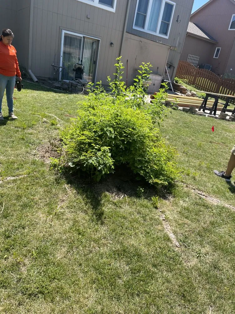 Reliable landscape design in Omaha, NE by I&E Stump Grinding