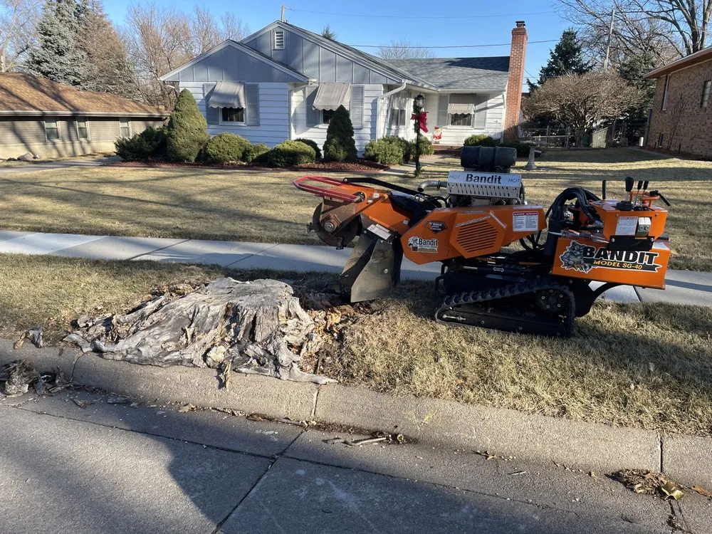 Trusted lawn care service for outdoor upgrades across Omaha, NE - I&E Stump Grinding