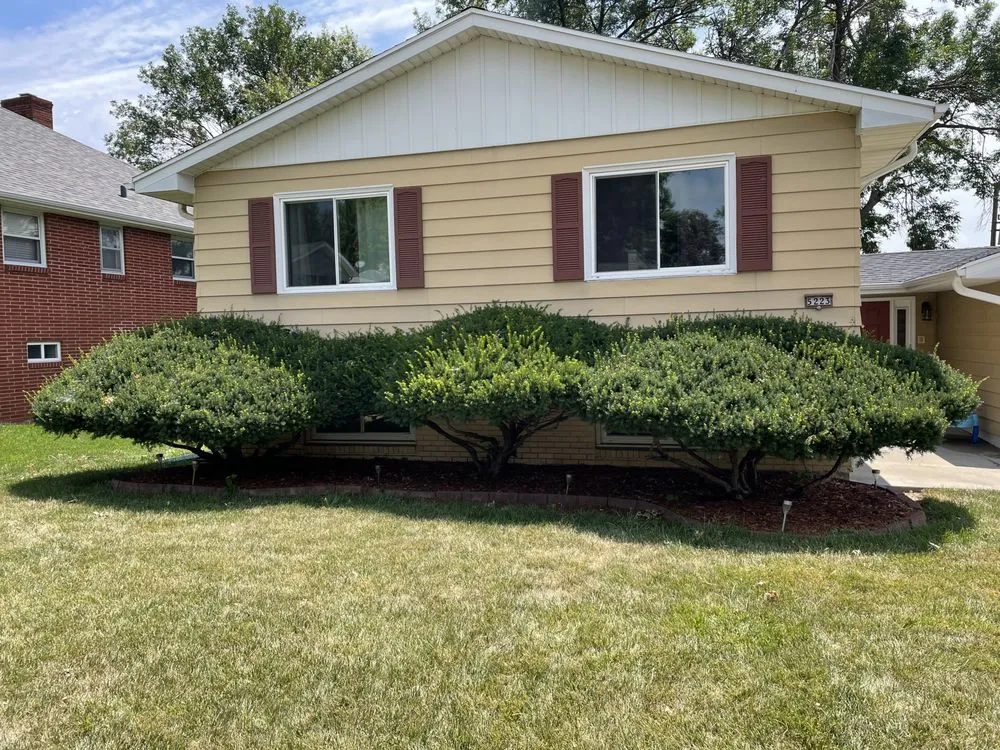 Reliable lawn care service experts serving Omaha, NE - I&E Stump Grinding