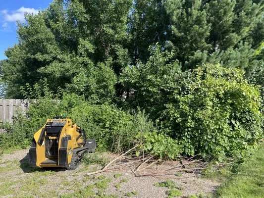 I&E Stump Grinding Logo
