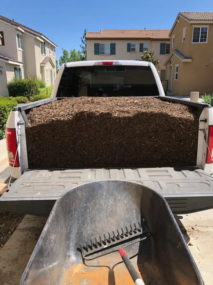 Trusted yard cleanup service in Beaumont, CA by ieLawnPros