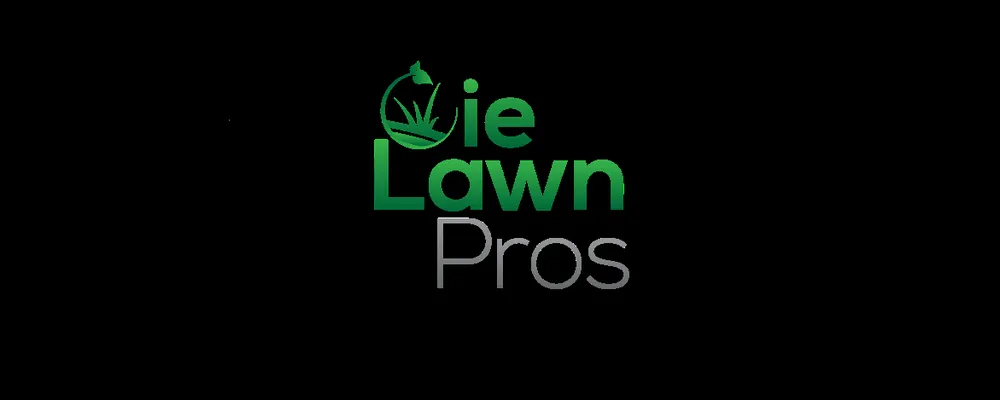 Professional garden landscaping in Beaumont, CA - ieLawnPros