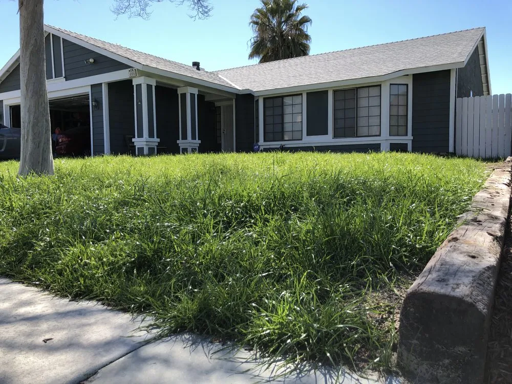 Custom yard cleanup service experts serving Beaumont, CA - ieLawnPros