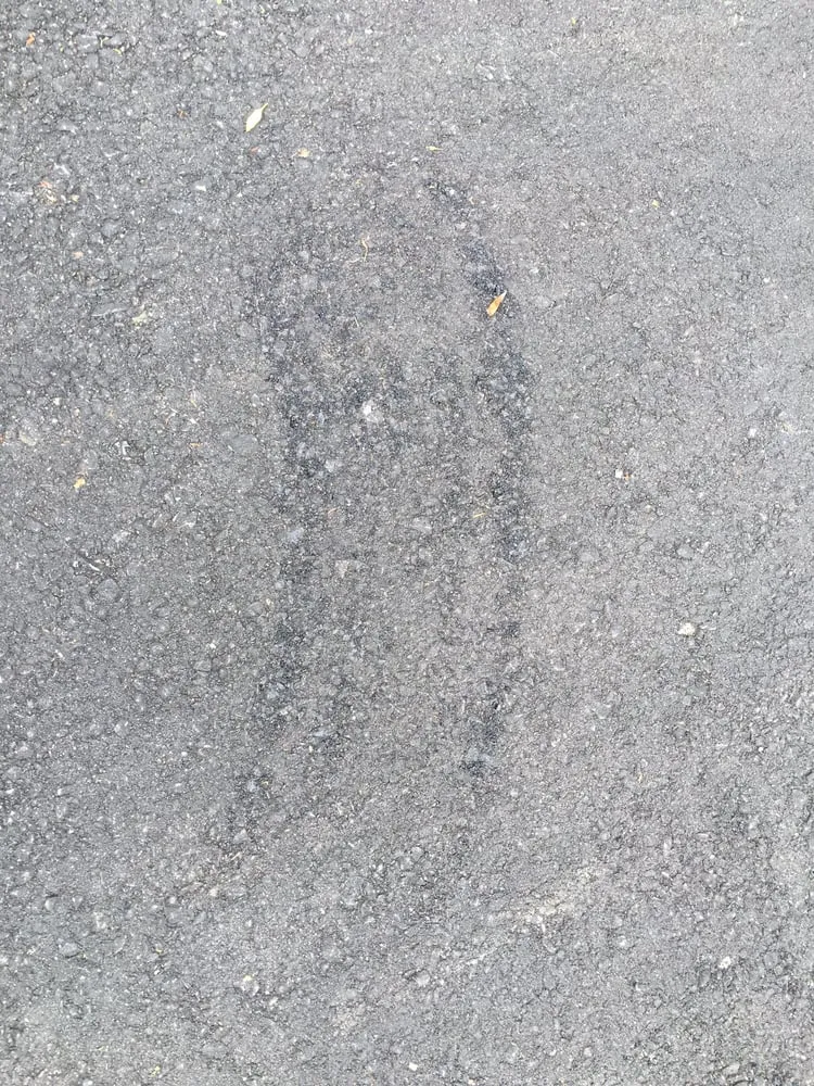 Reliable yard cleanup service experts serving Newton, MA - Ieraci Landscaping