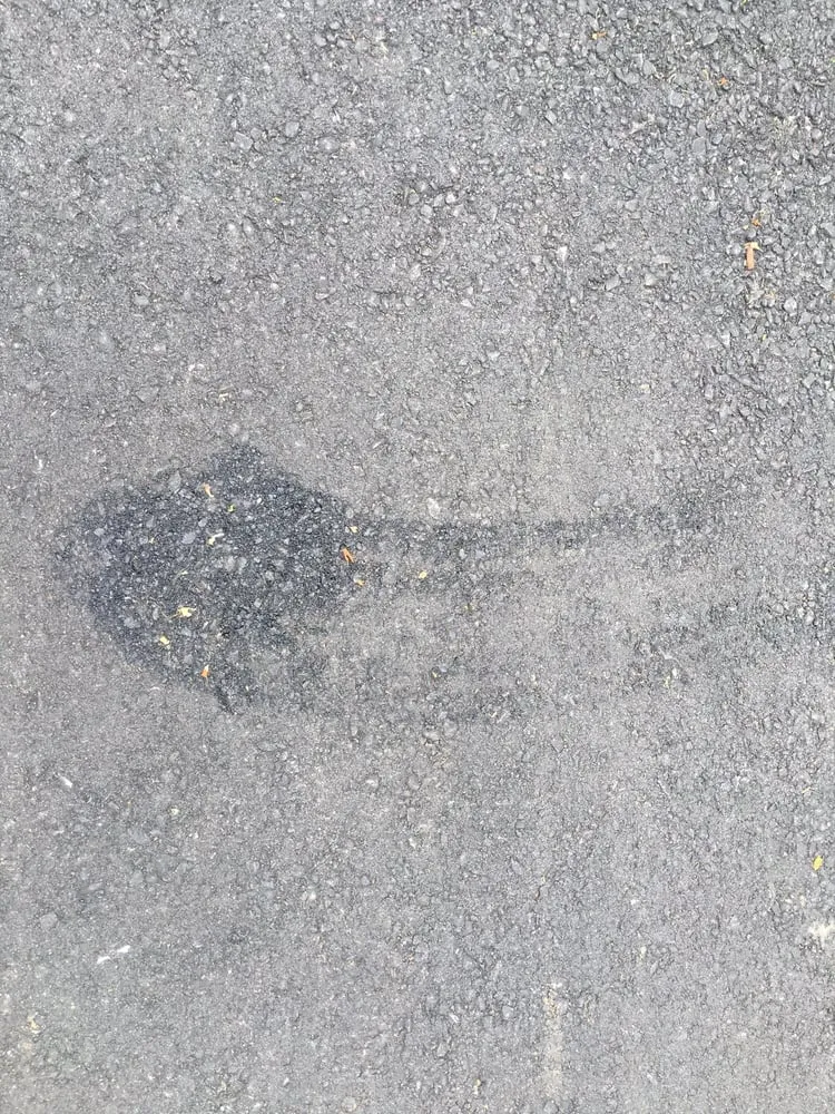 Reliable yard cleanup service in Newton, MA by Ieraci Landscaping