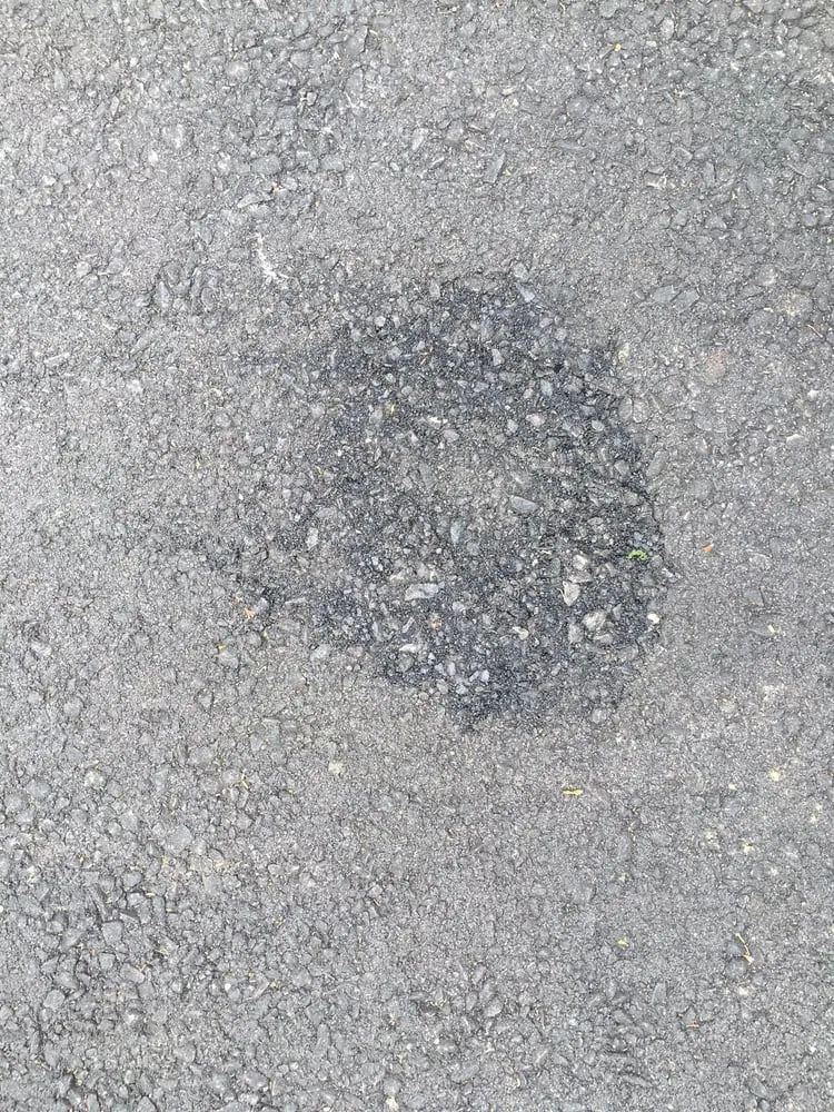 Reliable lawn care service experts serving Newton, MA - Ieraci Landscaping