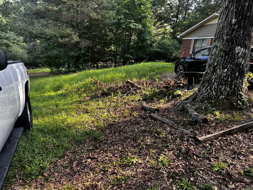 Trusted landscaping services in Tremont, MS - If It Grows It Mows, Leaf Relief & Woody Debris Removal