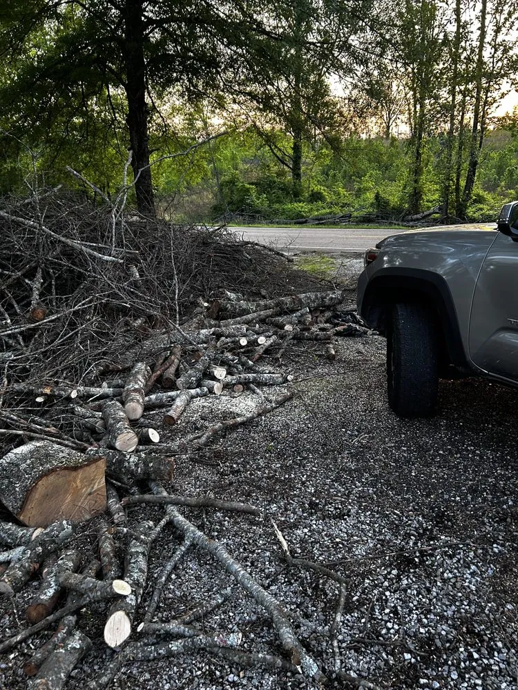 Professional residential landscaping in Tremont, MS by If It Grows It Mows, Leaf Relief & Woody Debris Removal