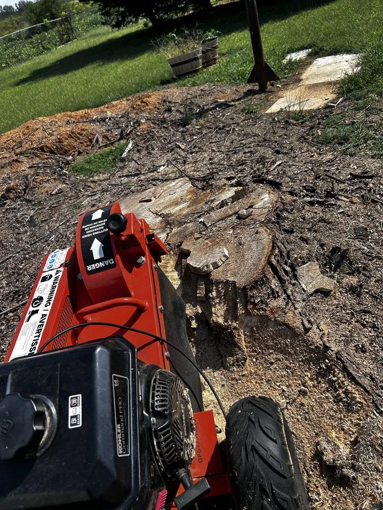 Local yard maintenance in Tremont, MS - If It Grows It Mows, Leaf Relief & Woody Debris Removal
