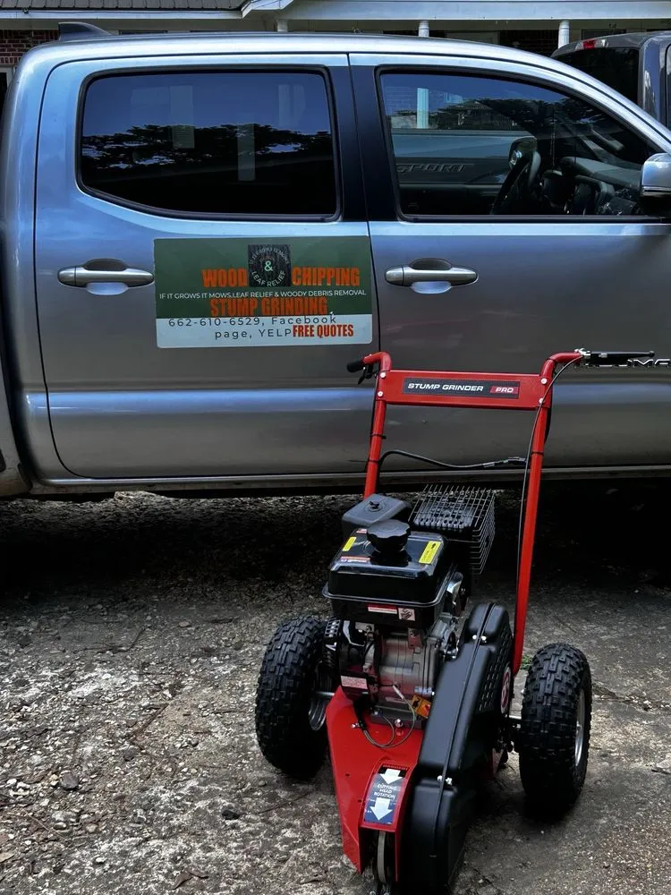 Affordable landscape installation in Tremont, MS - If It Grows It Mows, Leaf Relief & Woody Debris Removal