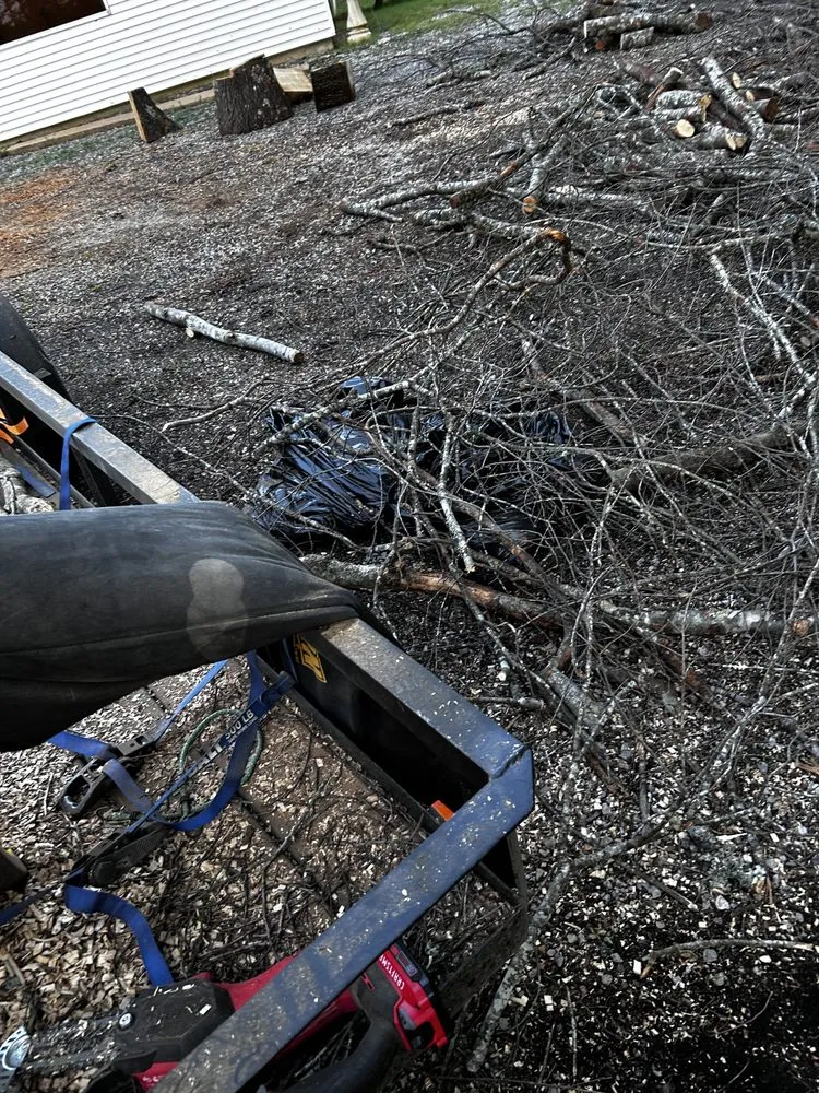 Trusted landscape design experts serving Tremont, MS - If It Grows It Mows, Leaf Relief & Woody Debris Removal