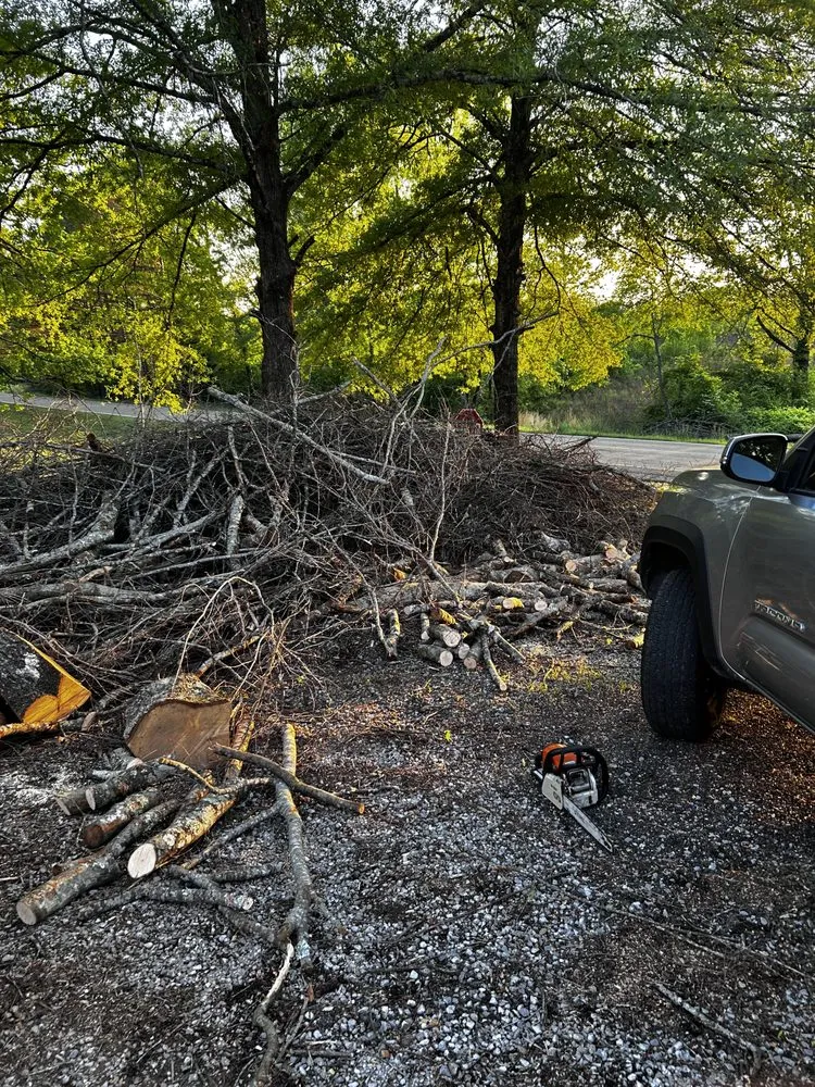 Reliable yard cleanup service for outdoor upgrades across Tremont, MS - If It Grows It Mows, Leaf Relief & Woody Debris Removal