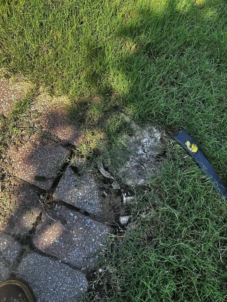 Custom landscape design for homes across Tremont, MS - If It Grows It Mows, Leaf Relief & Woody Debris Removal