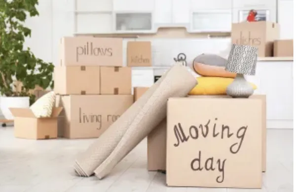 If The Slipper fits Logo