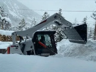 Custom yard cleanup service near you in Frisco, CO by IFB Enterprises