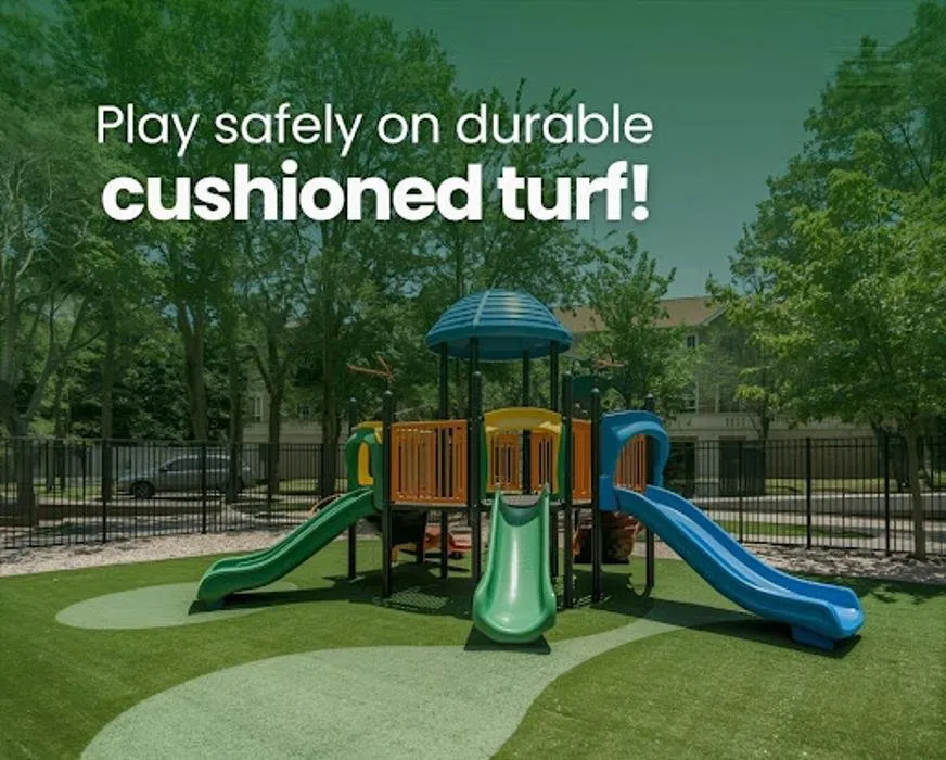 Expert yard cleanup service in Miami, FL - IFM Turf