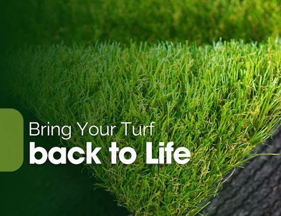 Professional outdoor landscaping in Miami, FL - IFM Turf