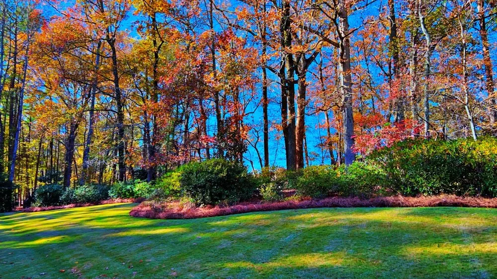 Reliable residential landscaping experts serving Macon, GA - IG Garcia Landscaping