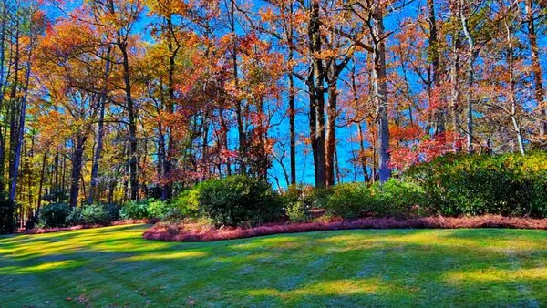 IG Garcia Landscaping Logo