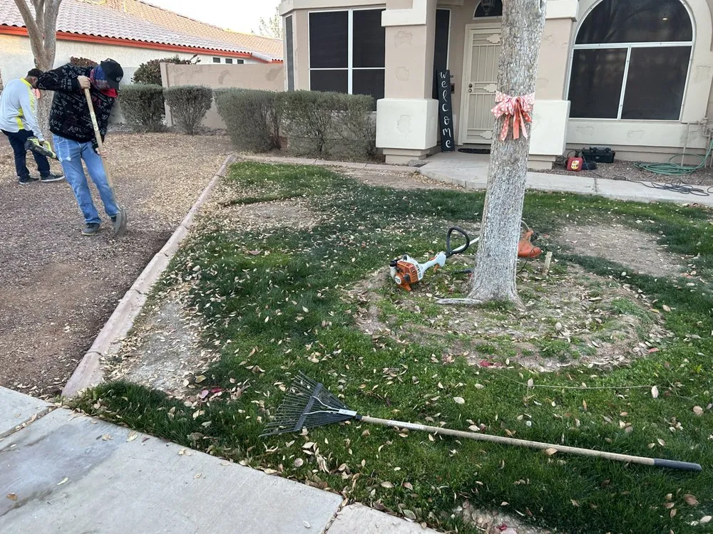Expert outdoor landscaping for beautiful yards across Mesa, AZ - IG Hardscapes