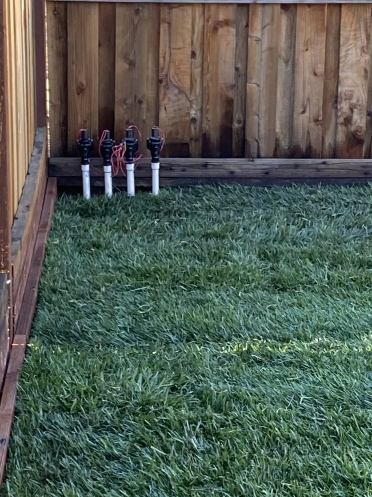 Affordable lawn care service experts serving San Mateo, CA - IG Landscapes