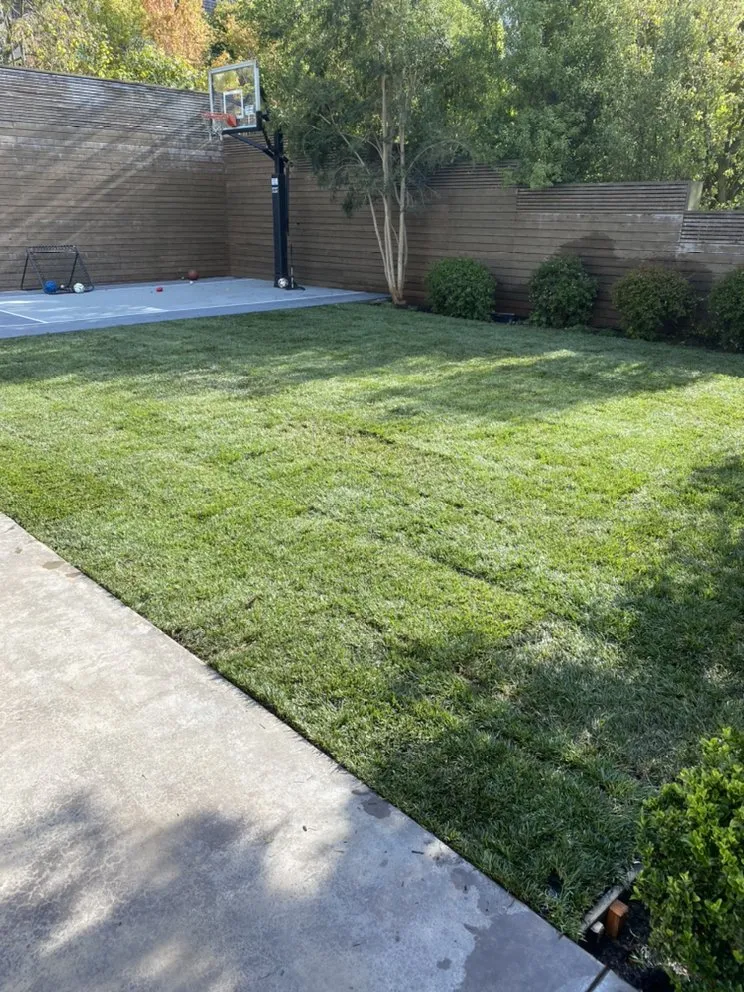 Expert yard maintenance in San Mateo, CA by IG Landscapes