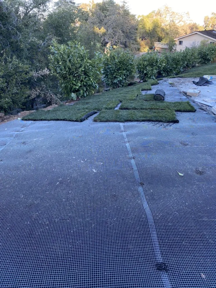 Affordable lawn mowing service in San Mateo, CA - IG Landscapes