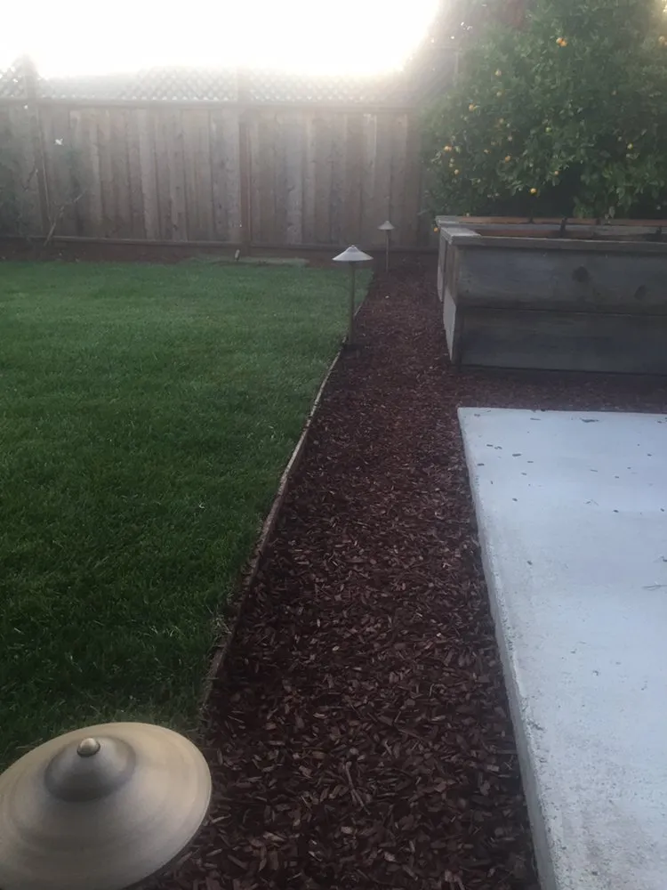 Top-rated garden landscaping for residential properties in San Mateo, CA by IG Landscapes